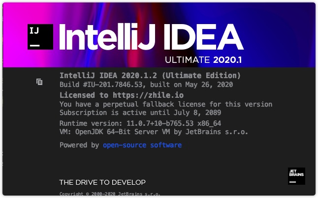 IDEA 2020  Jetbrains  activation CODE  激活码  注册